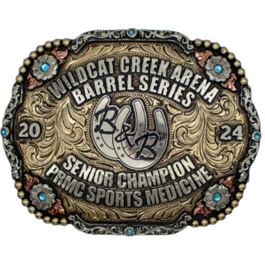 Alamo_buckle_0-1.png Alamo buckle
